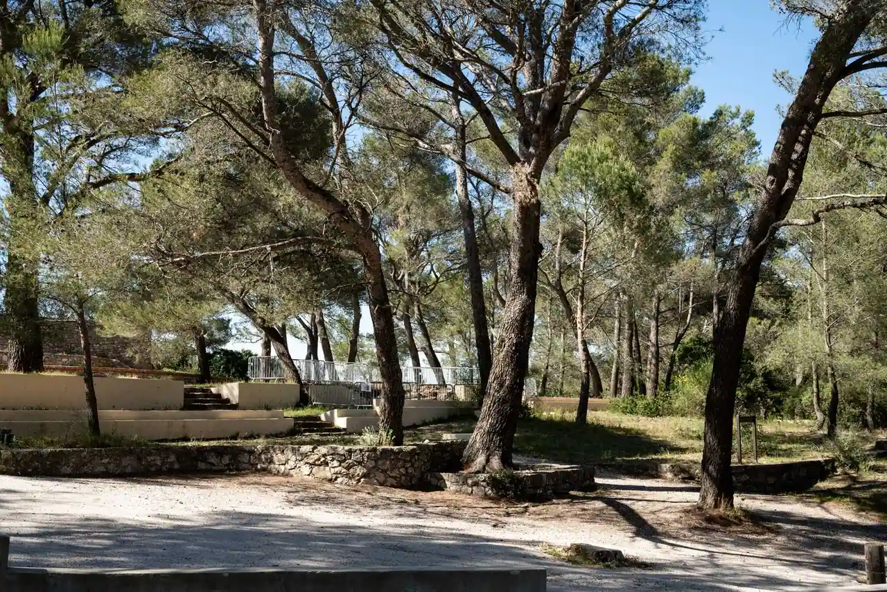 Pinède méditerranéenne aménagée de terrasses en pierre, avec un bâtiment bas visible sous les pins