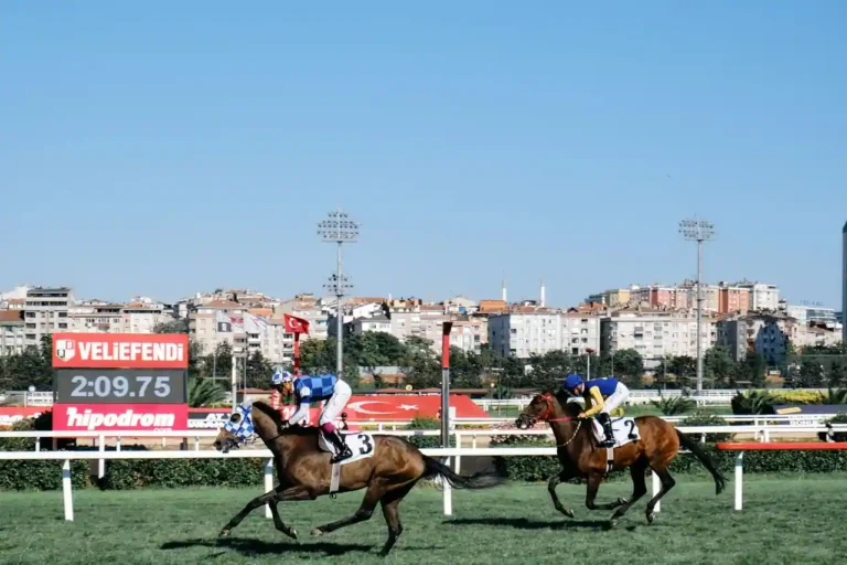 Vidéo du quinté du jour : regarder en direct et en replay
